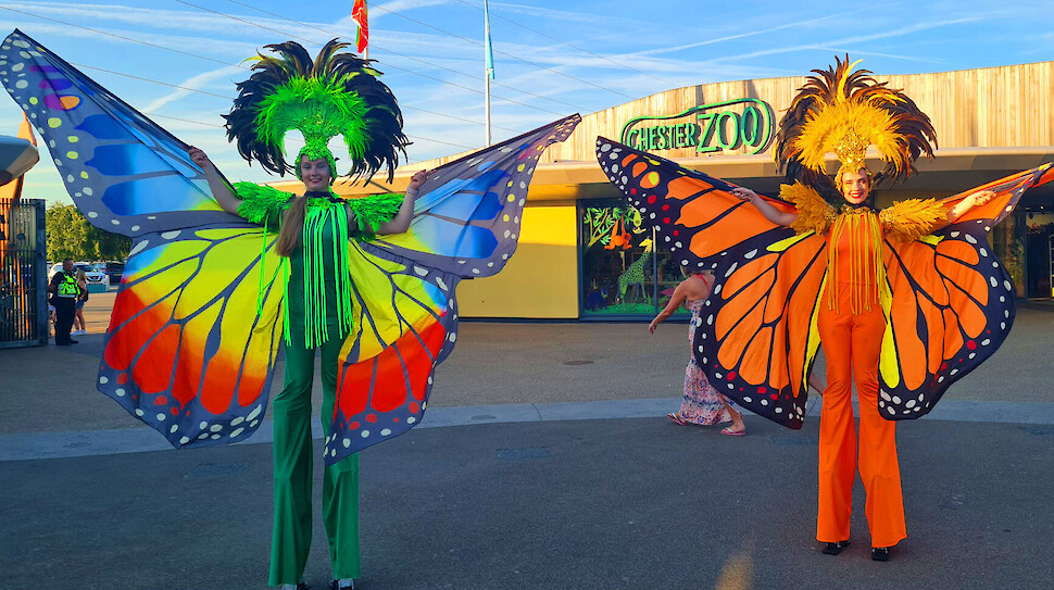 hire butterfly stilt walkers