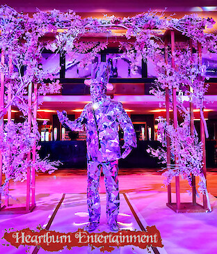 hire mirror men dancers